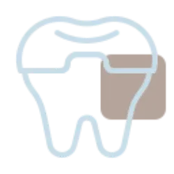 molar crown (1)